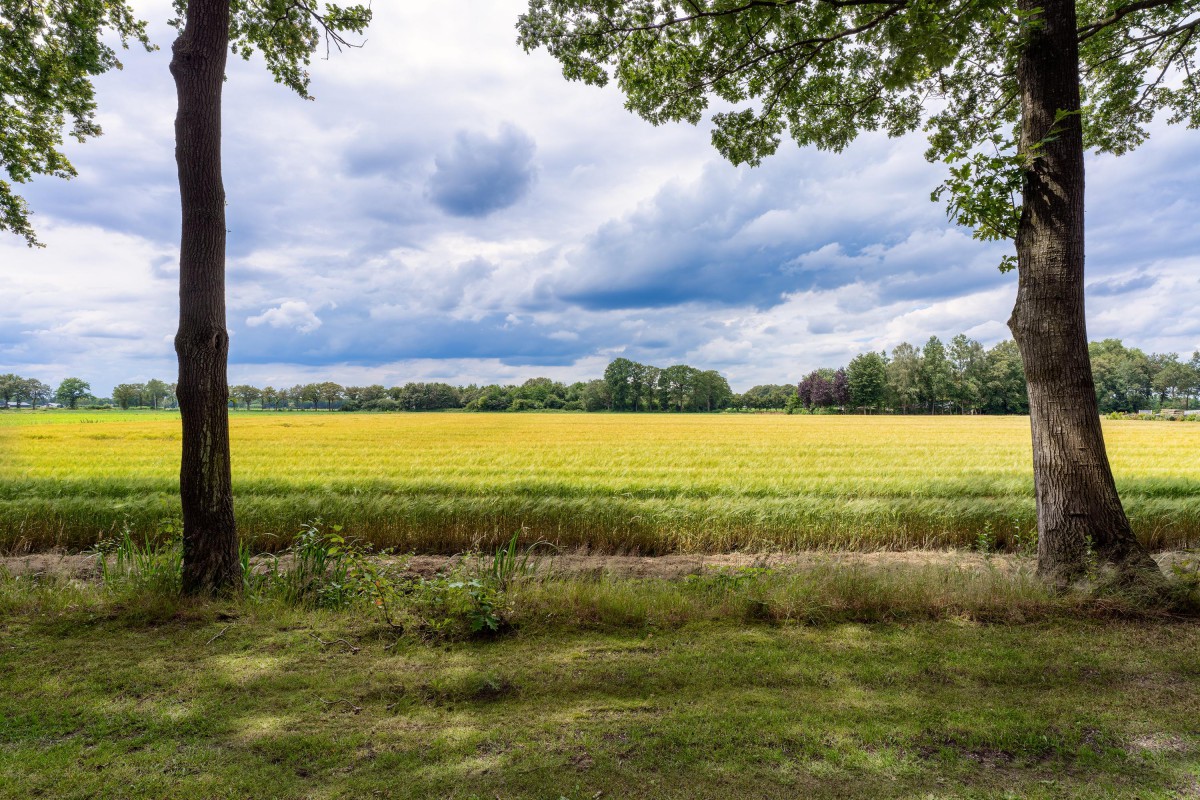 Vrijstaande woning te koop: Kaathoven 3, Vinkel